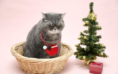 The Most Complicated Time of the Year